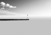 screenshot of portfolio/exhibition