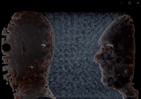 screenshot of portfolio/exhibition