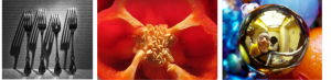 example images of composition - forks casting shadows, a close up of a pepper, the refelction of someone in a christmas bauble