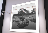screenshot of portfolio/exhibition