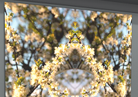 screenshot of portfolio/exhibition